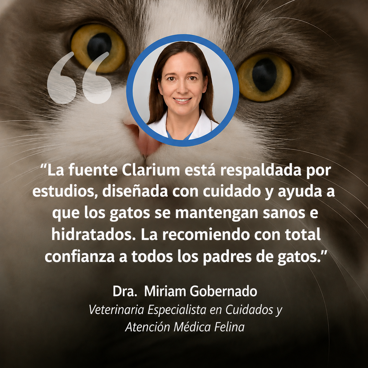 Fuente Para Gato Clarium™