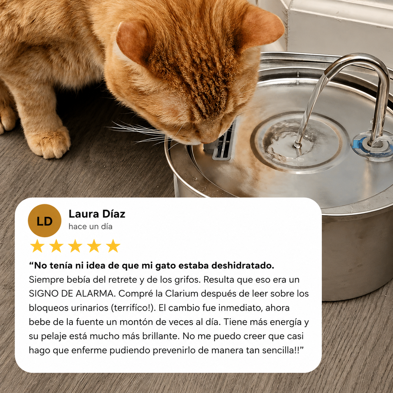 Fuente Para Gato Clarium™
